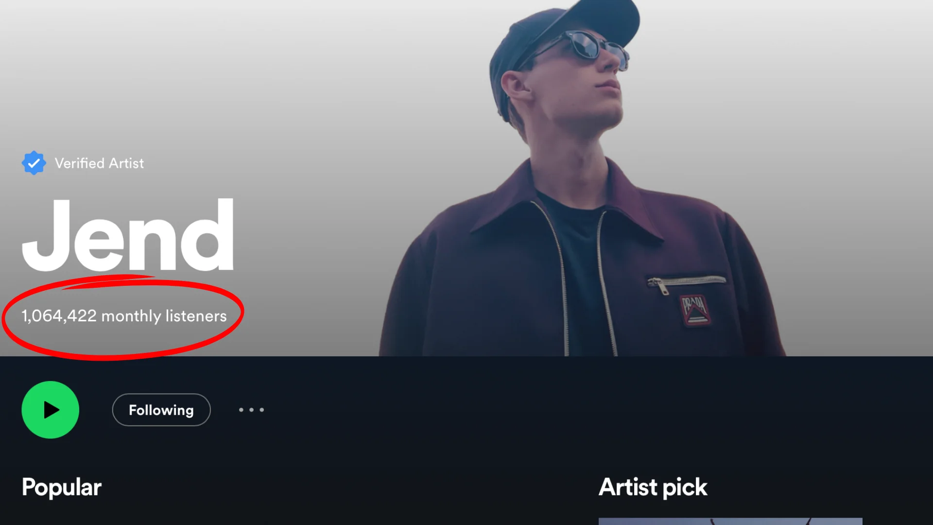 The Ultimate Guide to Optimizing Your Profile on Spotify as an independent artist